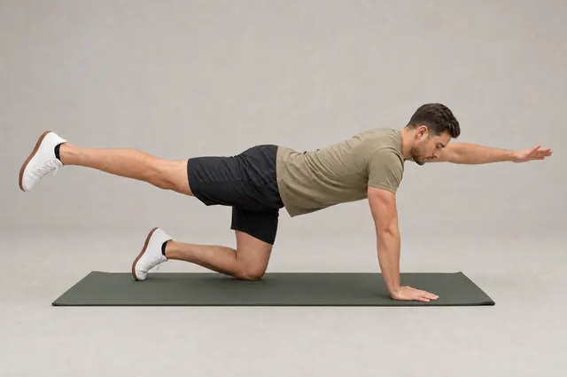 Bird-dog: on hands and knees, one arm reaching forward and the opposite leg reaching back.